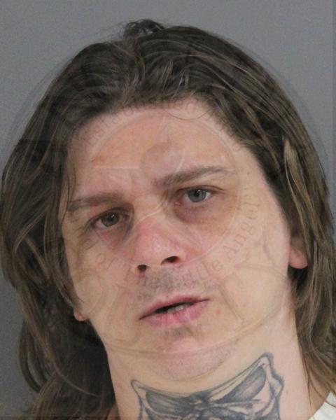Mugshot of ANTHONY EARL HAGAN