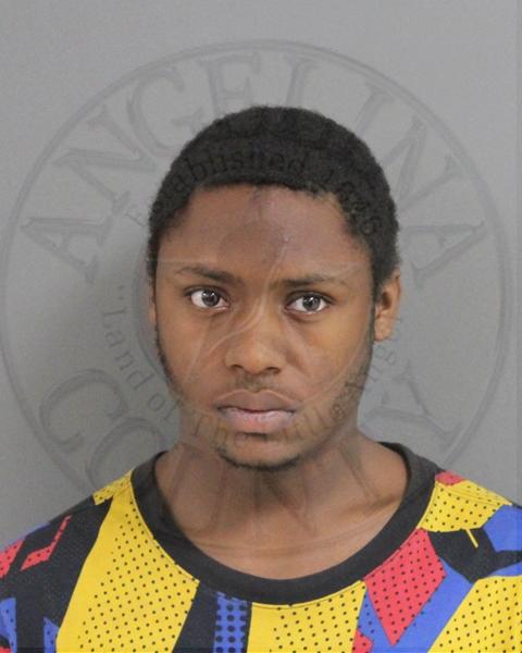 Mugshot of LADEISMAND EMMANUEL JOHNSON