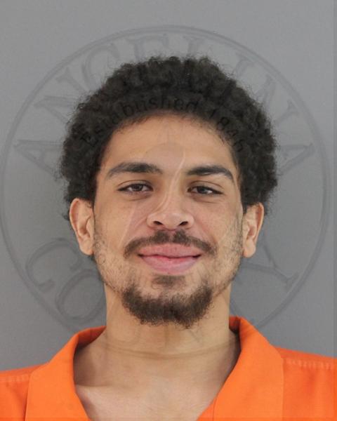 Mugshot of DEVON LLOYD MANNIN