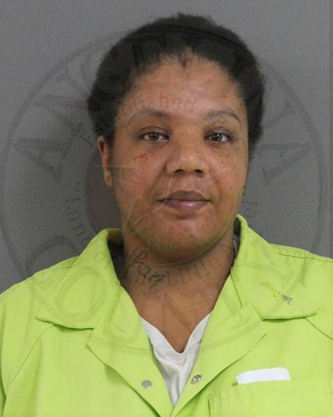 Mugshot of ATHENA RENEE TINSLEY