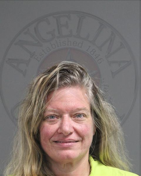 Mugshot of TAMMY MICHELE PERKINS