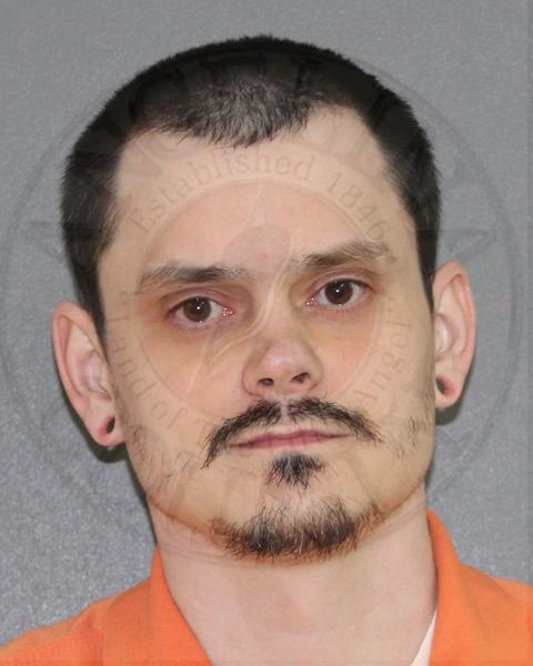 Mugshot of CAMERON DEWAYNE HOLDEN