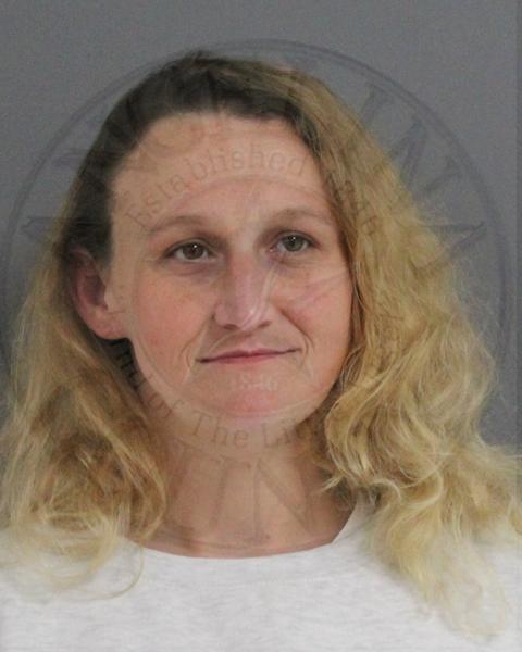 Mugshot of WENDI MARIE MILES