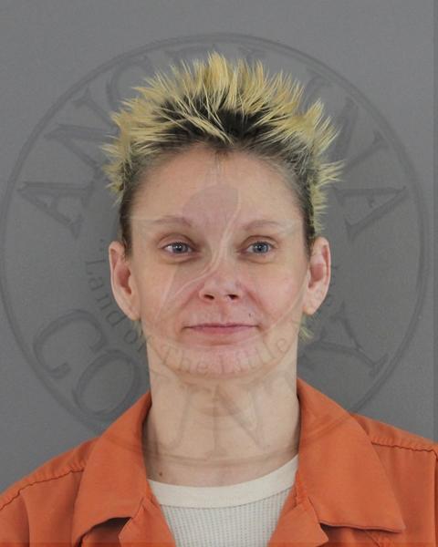 Mugshot of AMANDA ANN CUMMINGS
