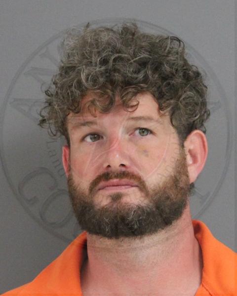 Mugshot of DAVID LEE WALTON