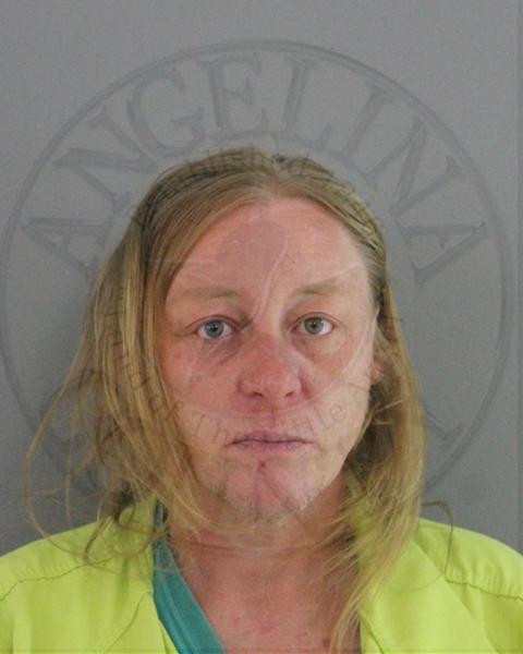 Mugshot of LESLY DIANE JOHNSON