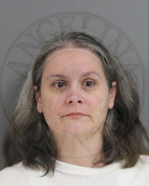 Mugshot of SHANNON DEANN POWELL