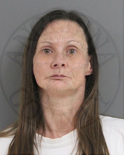 Mugshot of MELISSA HARRINGTON