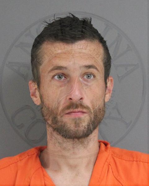 Mugshot of TRAVIS LAYNE SELF