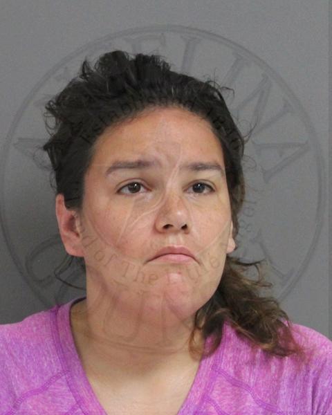 Mugshot of KELLY TAMEZ