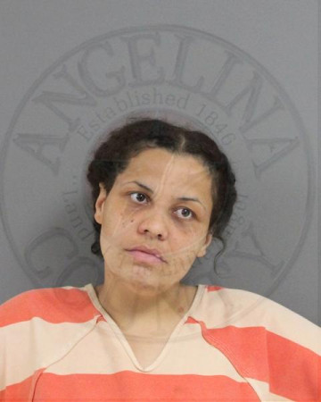 Mugshot of KARMEN NICOLE DAVIS