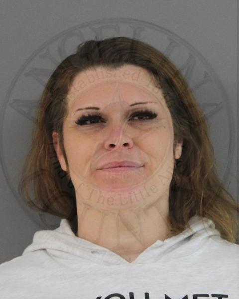 Mugshot of GINA MARIE TULLOS