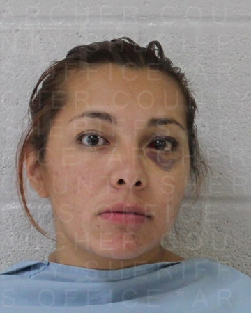 Mugshot of ISABELLA MARINA VIRGINIA DEL-CASTILLO