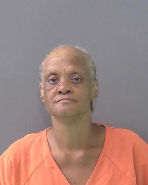 Mugshot of VANESSA LYNETTE MCCRANEY