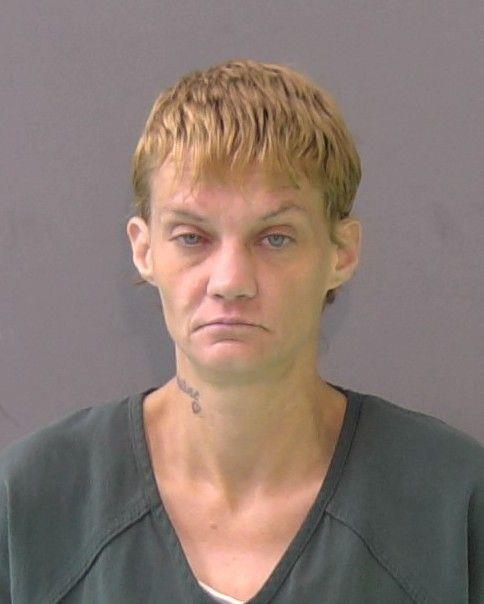 Mugshot of WENDY LEA LAWSON