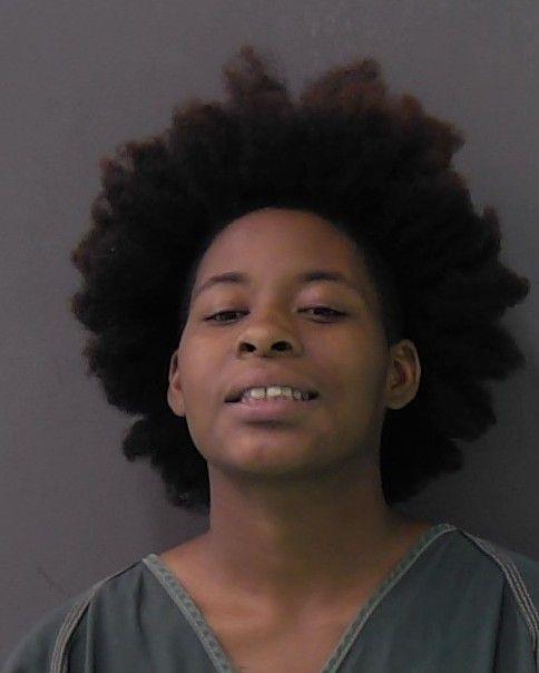 Mugshot of JASMINE NATALIA PASSI