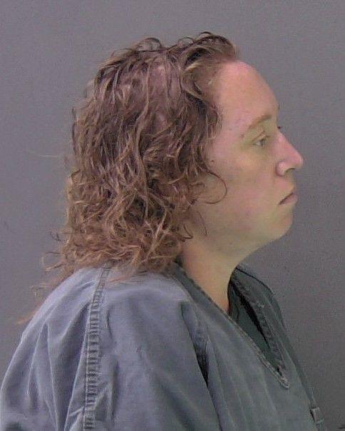 Mugshot of MICHELLE ELIZABETH PUEHLER