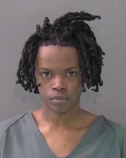 Mugshot of MICHAEL DAVION RIDGELL