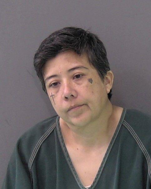 Mugshot of DIANA KIM SANTELLAN