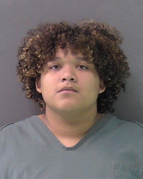 Mugshot of LOLA ELAINE BATTS