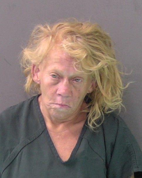 Mugshot of TINA WARTH