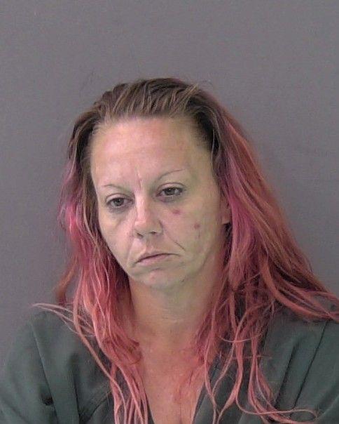 Mugshot of TRACY NICOLE KARL