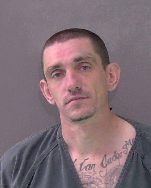 Mugshot of SHELBY CHASE FORSHEE