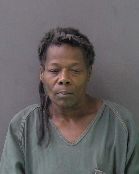 Mugshot of TRACEY LOU FOX