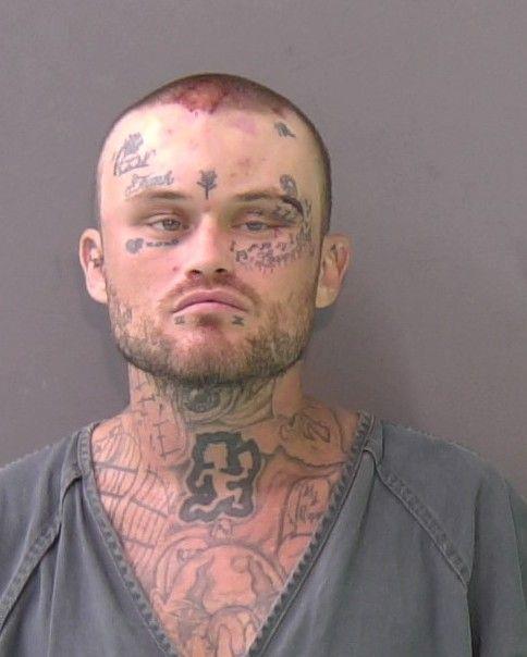 Mugshot of MICHAEL WAYNE DAVIS