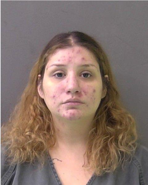 Mugshot of VIVIANA YSABEL SHULL