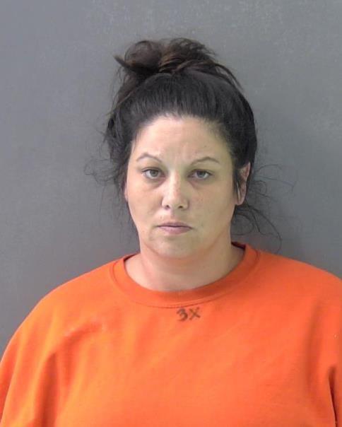 Mugshot of SANDY GAYLE CARRESE