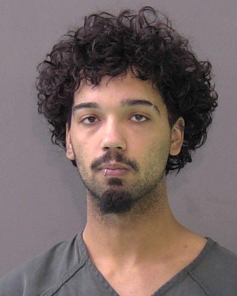 Mugshot of LONDEN JAMES POTTERF-DIGREGORIO