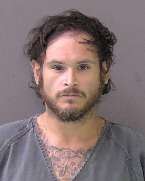 Mugshot of DUSTIN LEDALE DODSON
