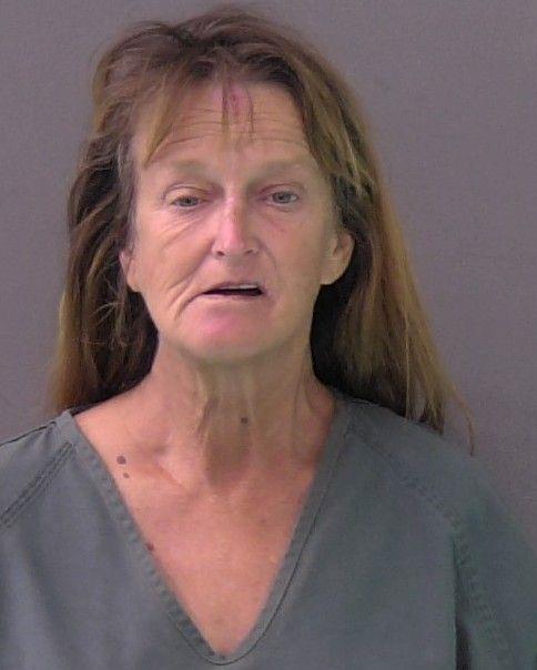 Mugshot of ROBIN TONI DESHOTEL