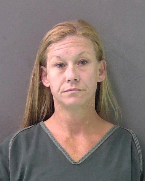 Mugshot of VIRL ELLEN VANKIRK