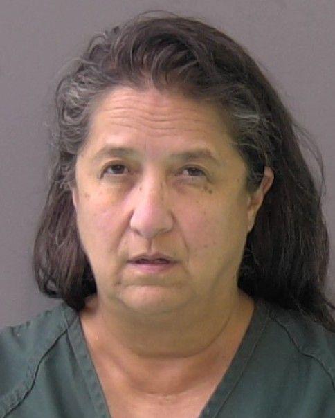 Mugshot of LISA ANN TRACY