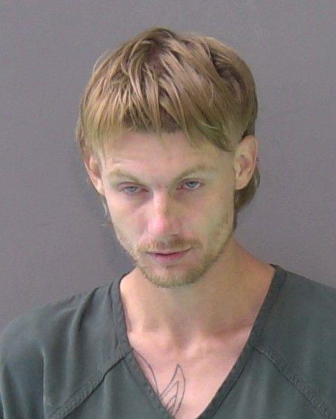 Mugshot of DWAYNE MICHAEL MARTIN