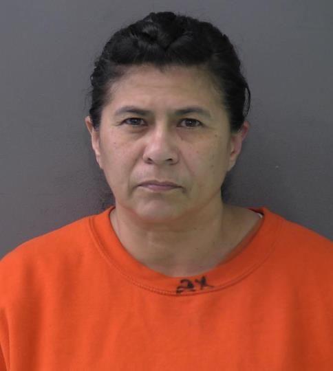 Mugshot of MARY ALICE GERDES