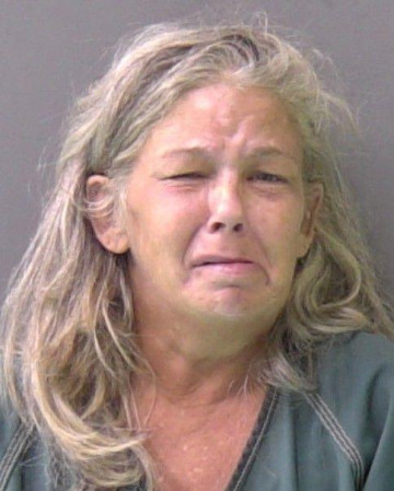 Mugshot of ANDREA MICHELLE ELLIS