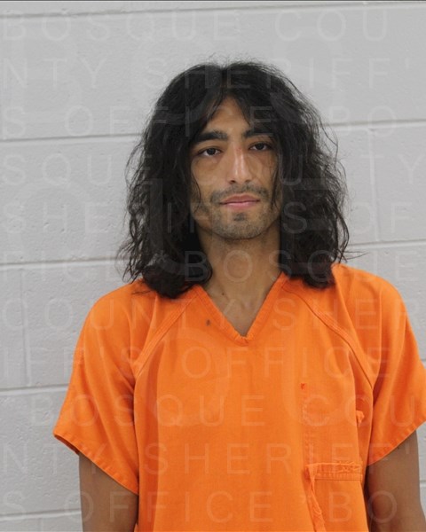 Mugshot of SANTANA VILLALOVOS