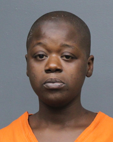 Mugshot of DESTINY DASHA WILLIS