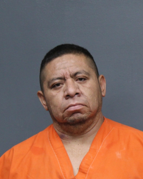 Mugshot of RICARDO MATA LOPEZ