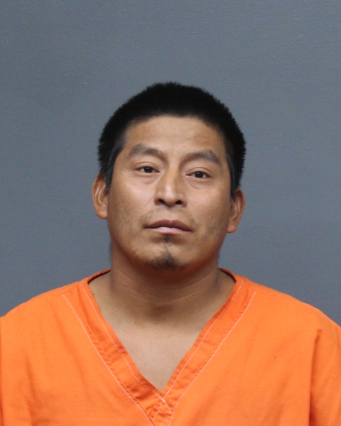 Mugshot of ERNESTO TOX COC
