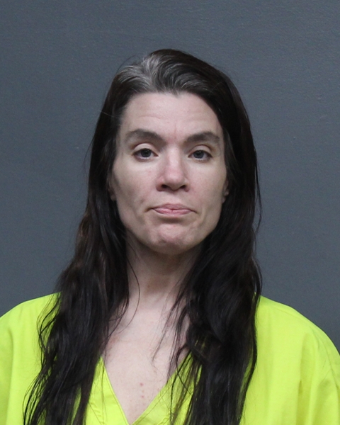 Mugshot of BRIDGET RENEE MORGAN