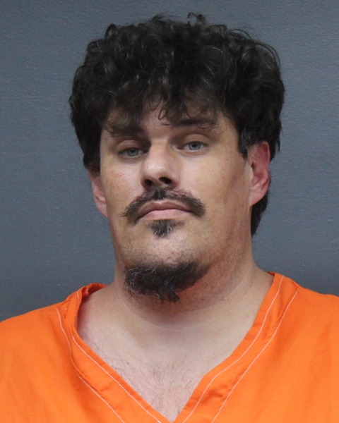 Mugshot of ROMAN BRADY LAW