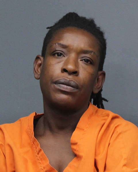 Mugshot of BRITTANY DANIELLE GARDNER