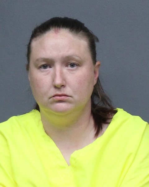 Mugshot of LASHAUNA DANIELLE PORTERFIELD