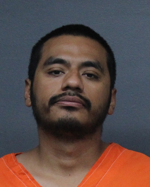 Mugshot of CESAR ALEJANDRO DE LEON RAMIREZ