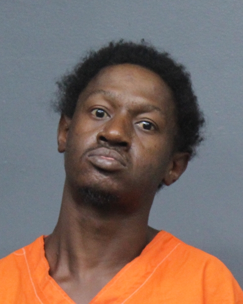 Mugshot of KENYON LEWIS