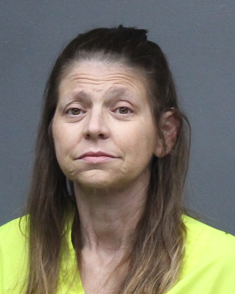 Mugshot of SHANDA RENEE BURNES